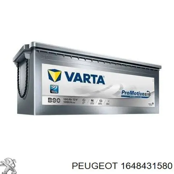V99170020 Vemo