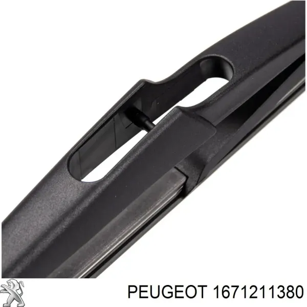 W1T4629B Polcar