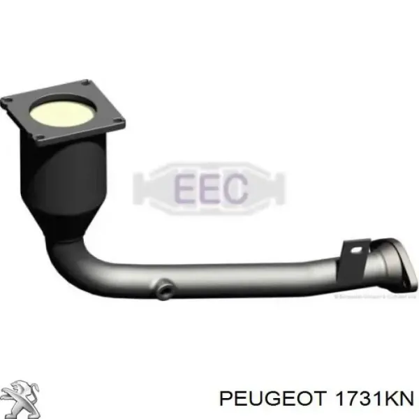 Catalizador 1731KN Peugeot/Citroen