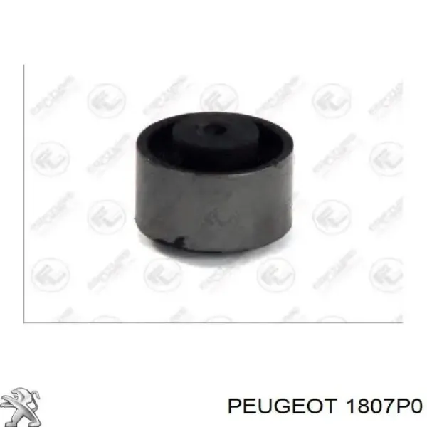 00001807Z0 Peugeot/Citroen