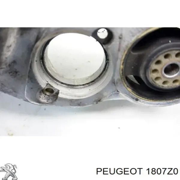00001807Z0 Peugeot/Citroen