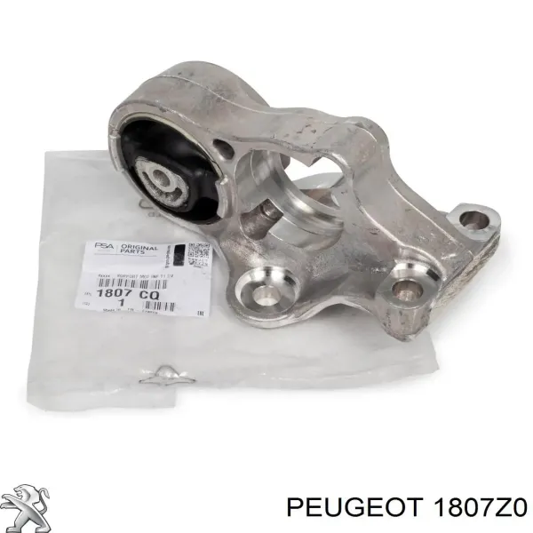 00001807Z0 Peugeot/Citroen