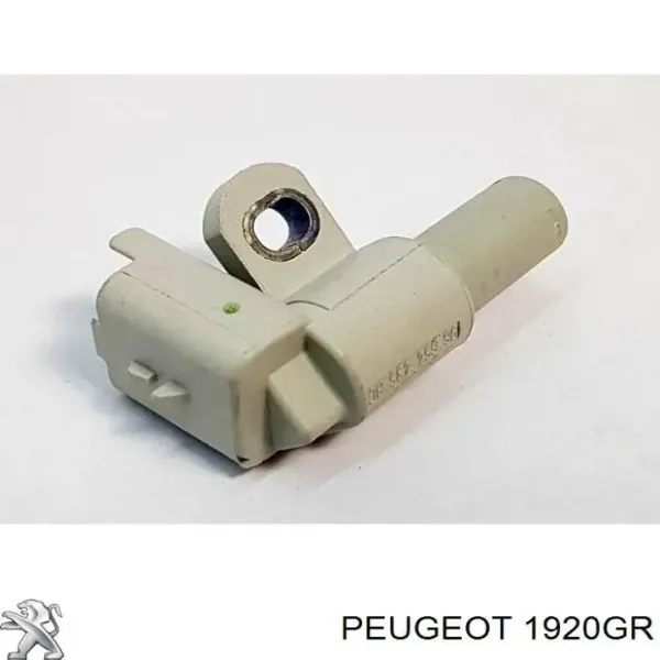 9649309780 Peugeot/Citroen