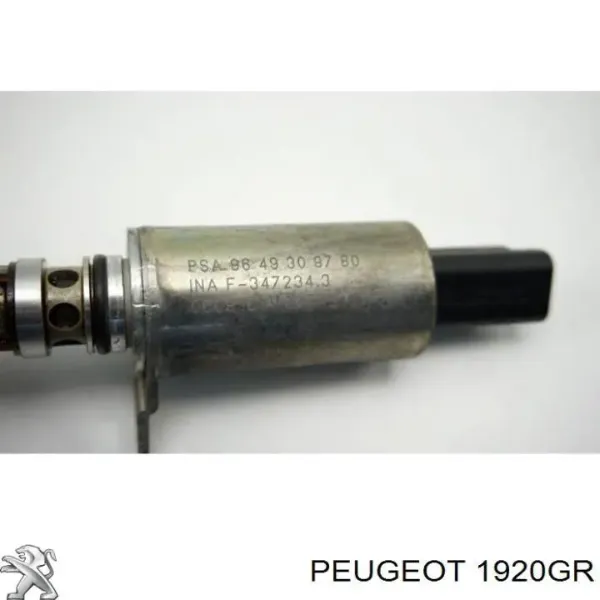 9649309780 Peugeot/Citroen