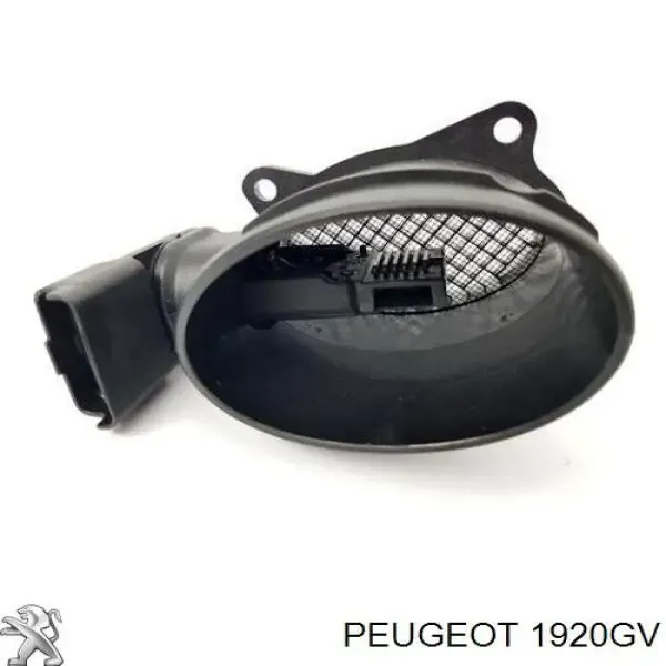 V257210151 Vemo