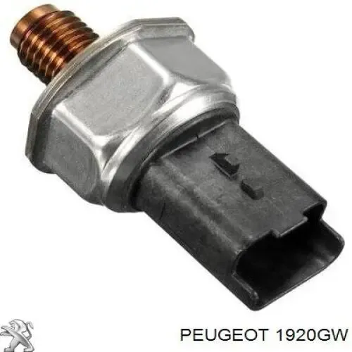 00001920GW Peugeot/Citroen