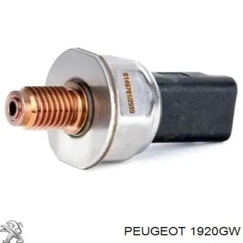 00001920GW Peugeot/Citroen