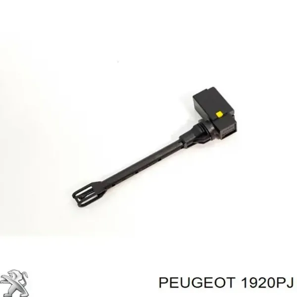 V22720078 Vemo