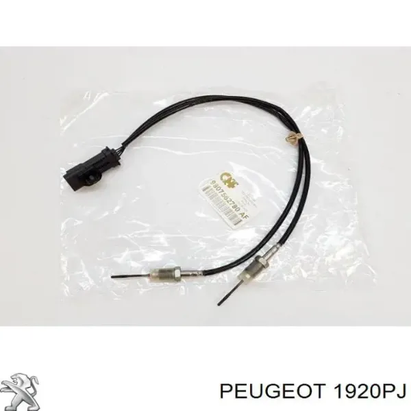 V22720078 Vemo
