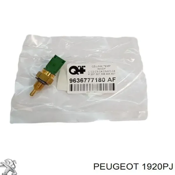 V22720078 Vemo