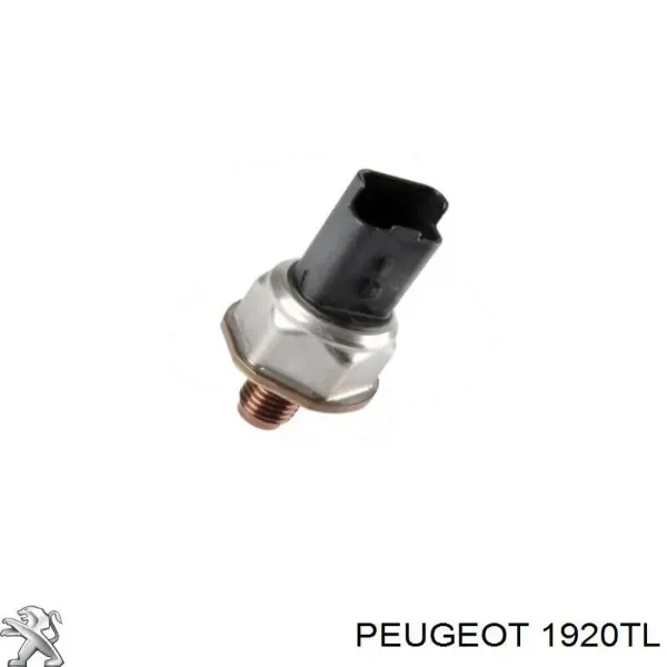 00001920GW Peugeot/Citroen