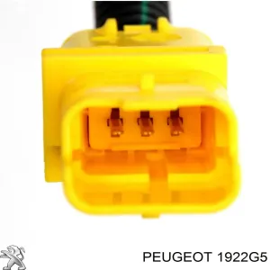 Cable del sensor de presión de combustible del riel 1922G5 PEUGEOT)