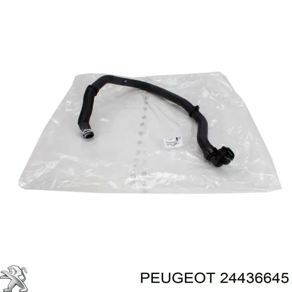 Anillo de sellado de la manguera de retorno del compresor 24436645 Peugeot/Citroen