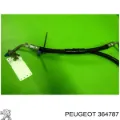 Mangueta delantera derecha Peugeot 407 6E