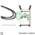 Correa de alternador Citroen C15 VD