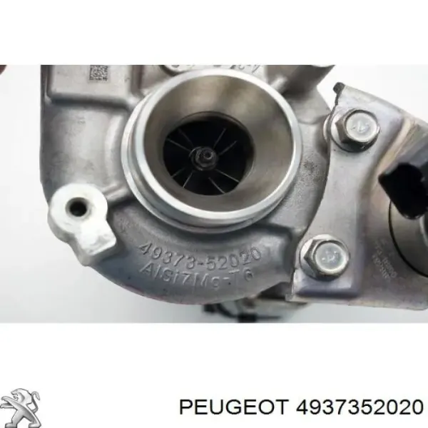  4937352020 Peugeot/Citroen