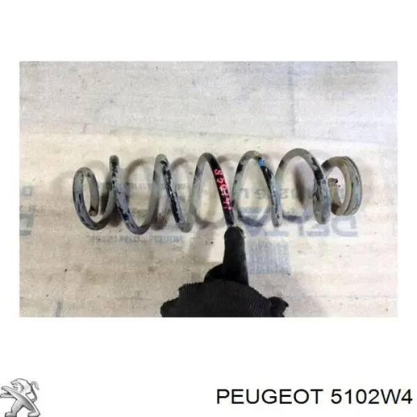 Muelle 5102W4 Peugeot/Citroen