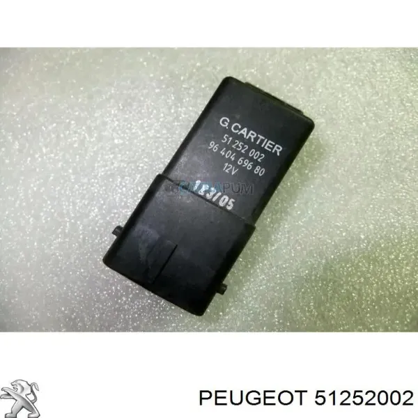 93858431 Peugeot/Citroen