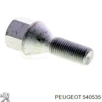 540555 Peugeot/Citroen