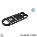 Correa de alternador Audi A3 8VS, 8VM