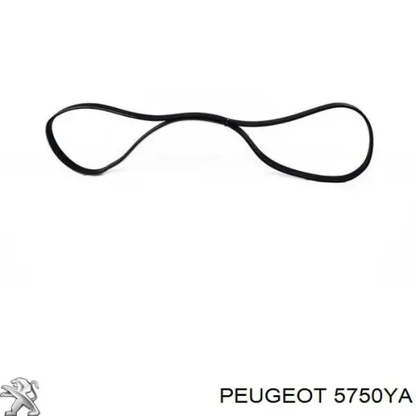 A0009933900 Mercedes
