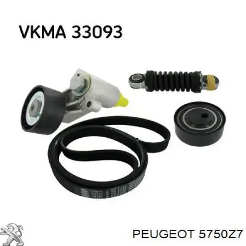 Correa trapezoidal Volkswagen LT 2DB, 2DE, 2DK