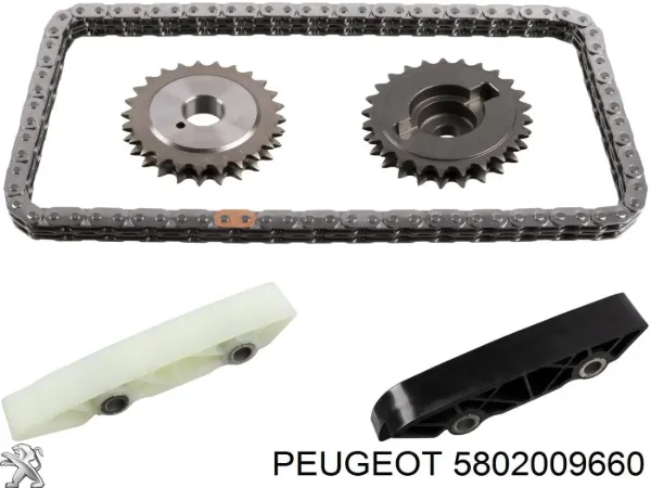 Kit de cadena de distribución 5802009660 Peugeot/Citroen
