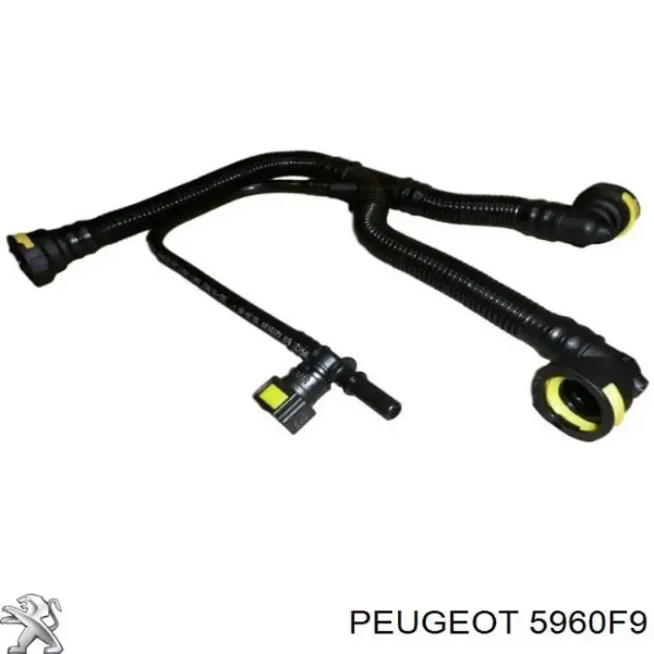 SKGP1890016 Market (OEM)