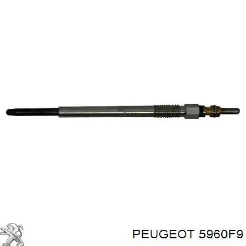 SKGP1890016 Market (OEM)