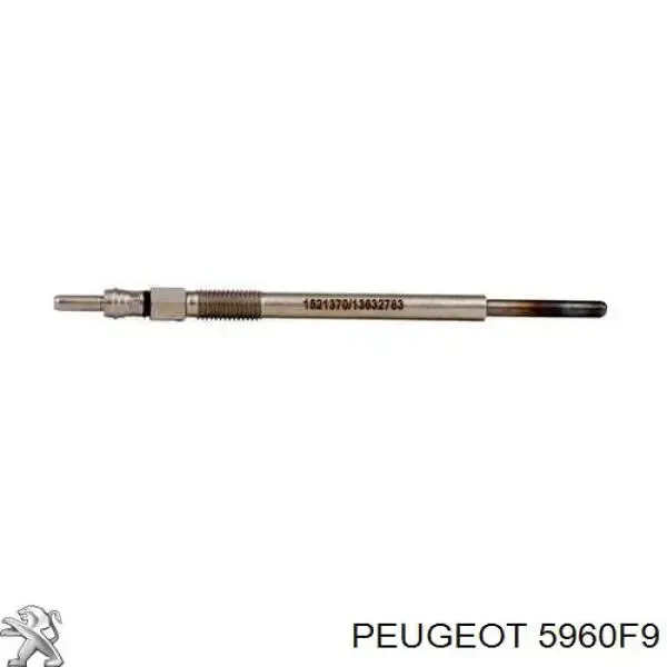 SKGP1890016 Market (OEM)