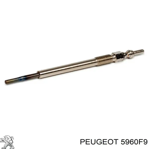 SKGP1890016 Market (OEM)