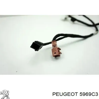 Cable para bujía de precalentamiento PEUGEOT 5969C3