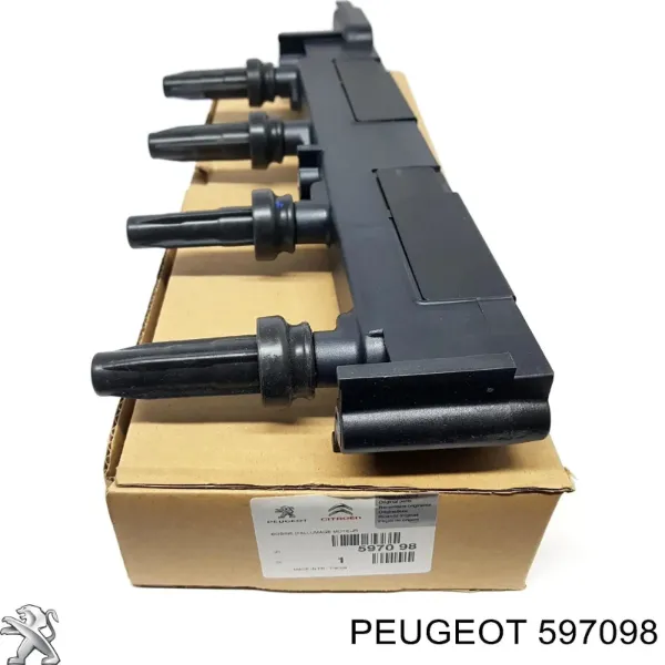 597098 Peugeot/Citroen