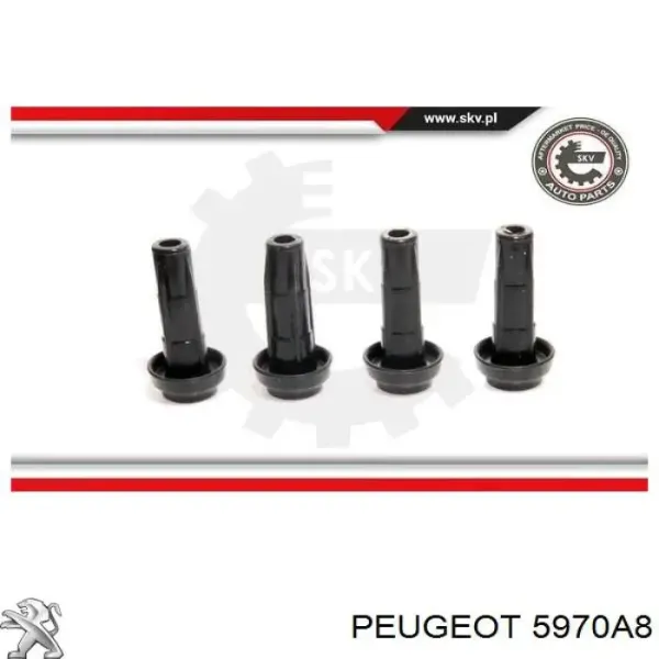 00005970A8 Peugeot/Citroen