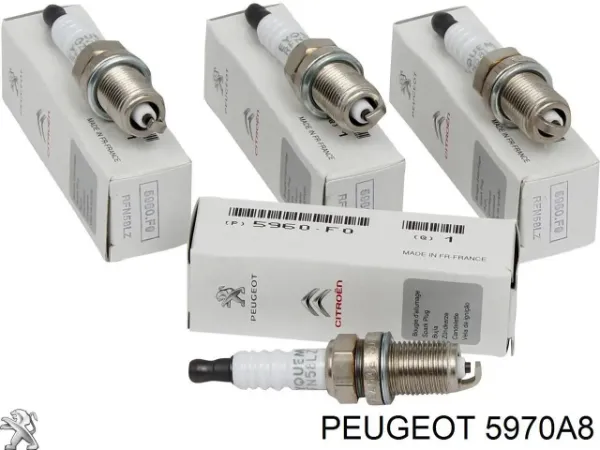 00005970A8 Peugeot/Citroen