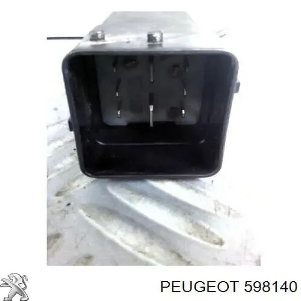 93858431 Peugeot/Citroen