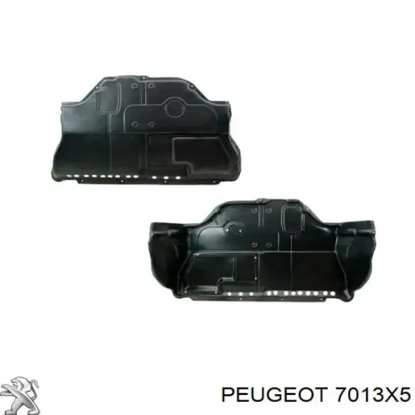 Protección derecha del motor 5723348 Polcar
