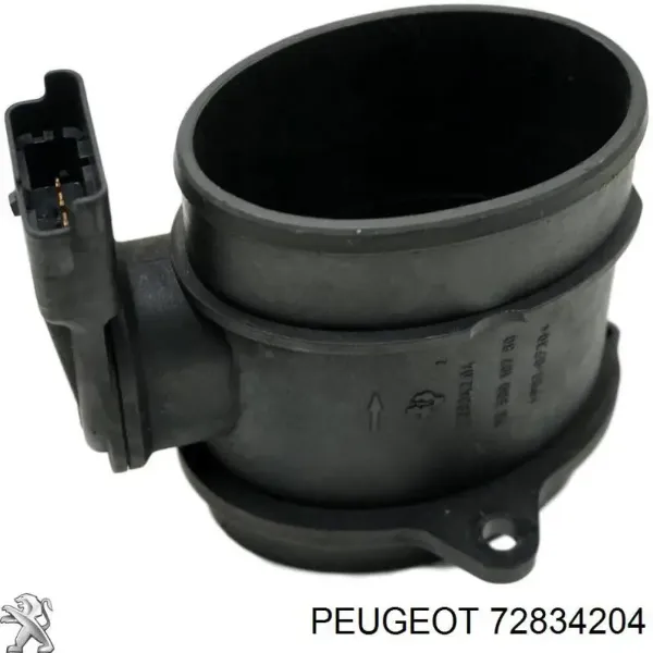 V257210151 Vemo