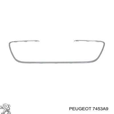 Moldura de rejilla de radiador PEUGEOT 7453A9