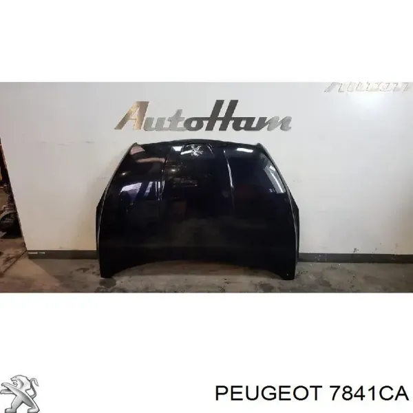 Aleta 575602 Polcar