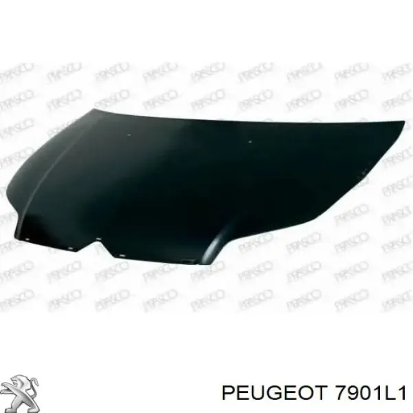 Capó del motor Citroen C4 1 LC