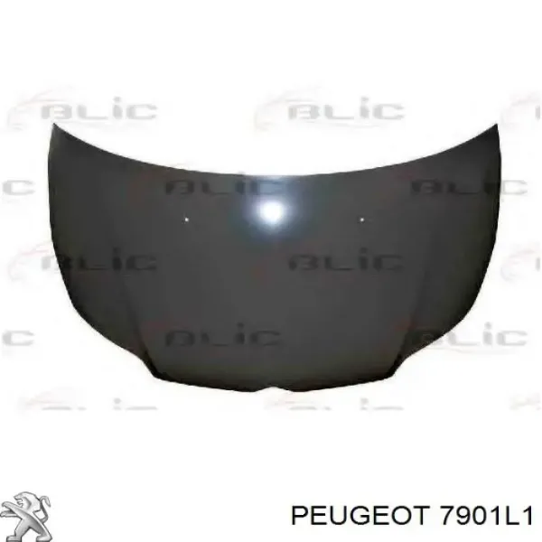 Capó del motor Citroen C4 1 LC