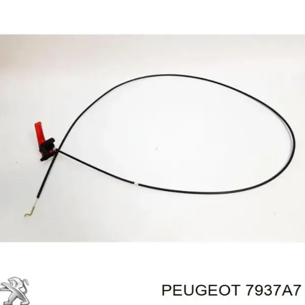 Cable de capó del motor para Peugeot Expert  223