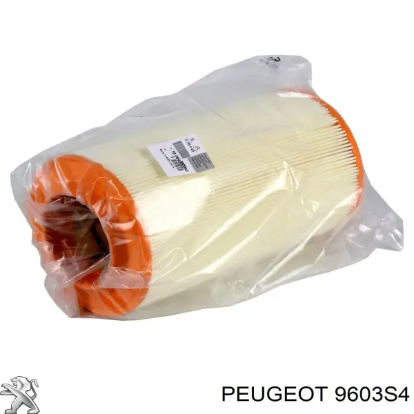 Guardabarros delanteros Peugeot Boxer III