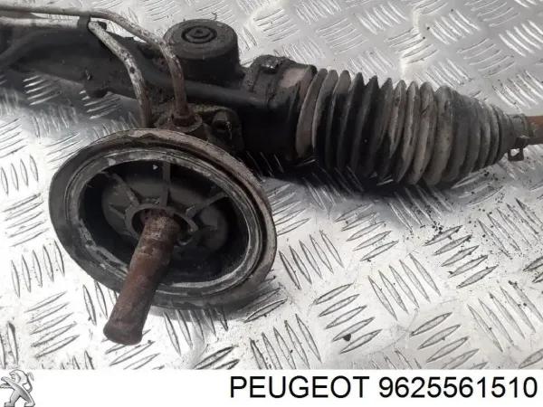  9625561510 Peugeot/Citroen