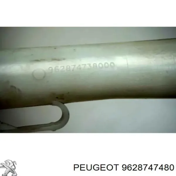  9628747480 Peugeot/Citroen