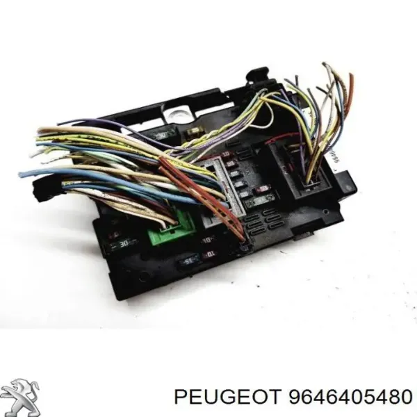 Caja de fusibles trasera interior 9646405480 Peugeot/Citroen