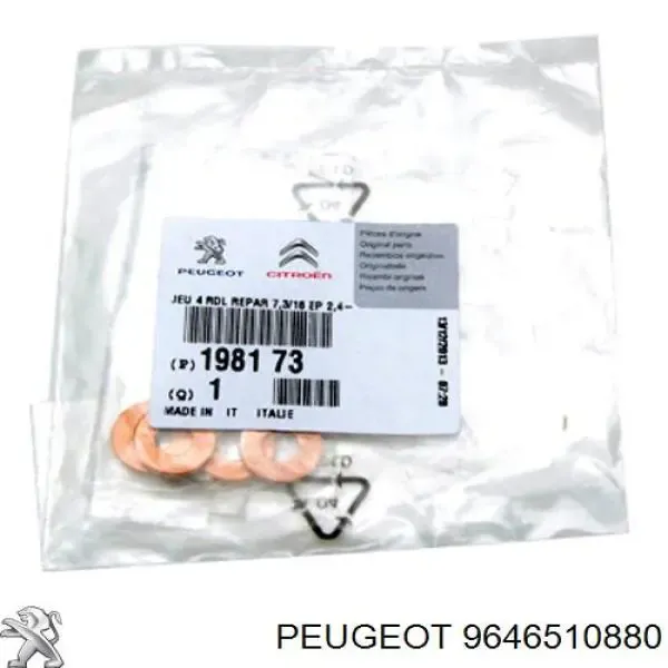 9646510880 Peugeot/Citroen