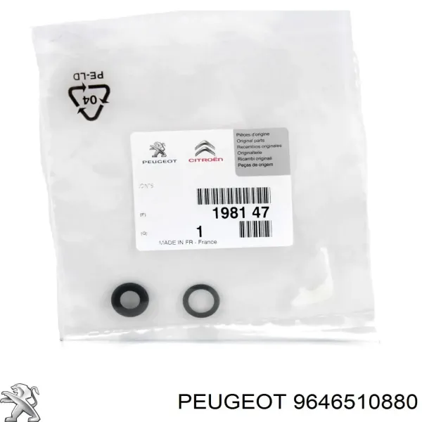9646510880 Peugeot/Citroen