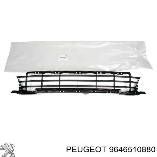 9646510880 Peugeot/Citroen